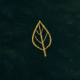 Mondfaden_icon_Blatt Mondfaden_icon_Blatt